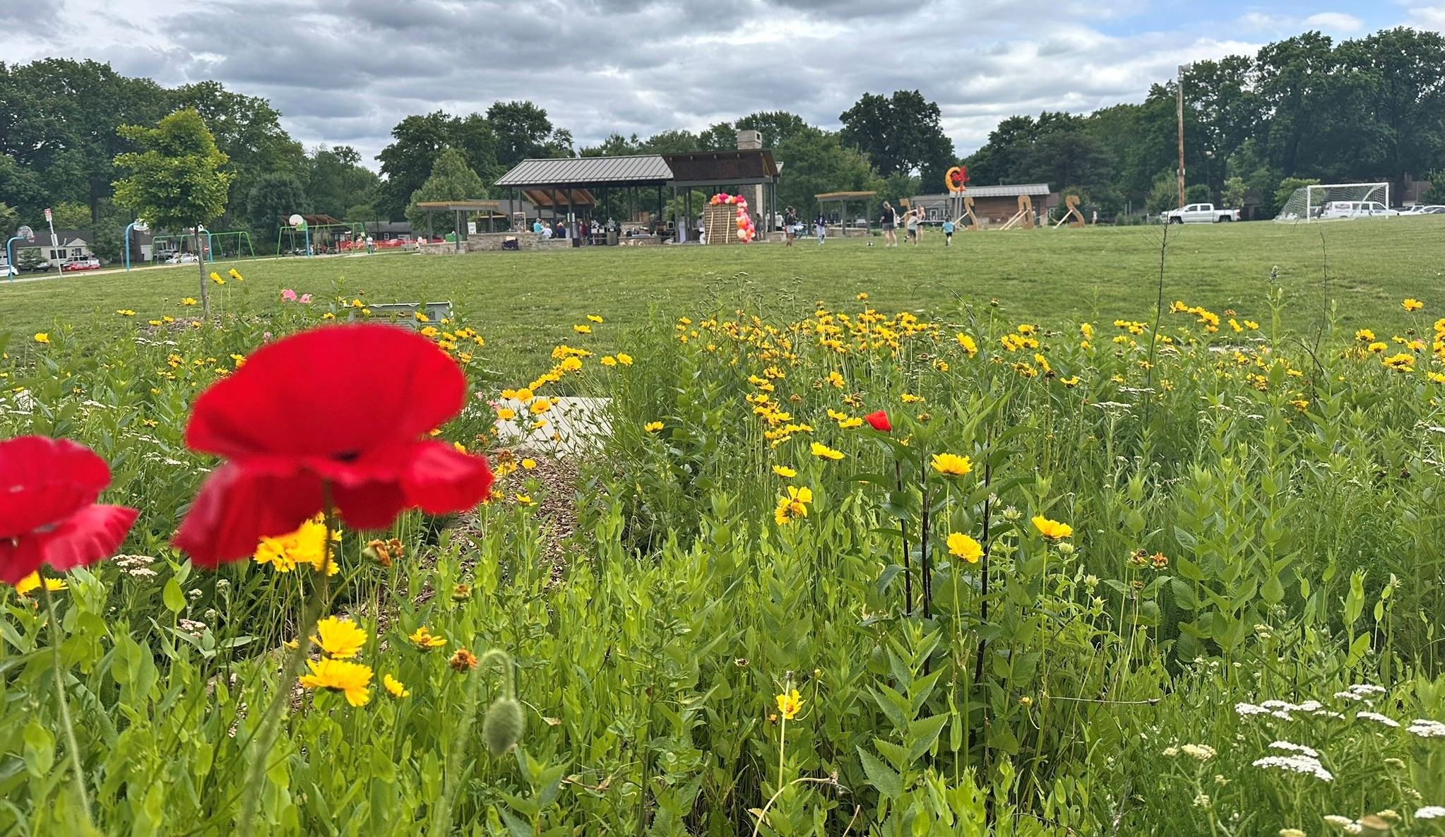 R Park Pavilion from Wildflower garden-2
